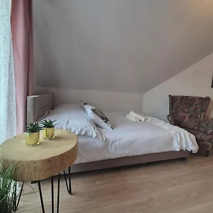 Pino House Guest house Zakopane